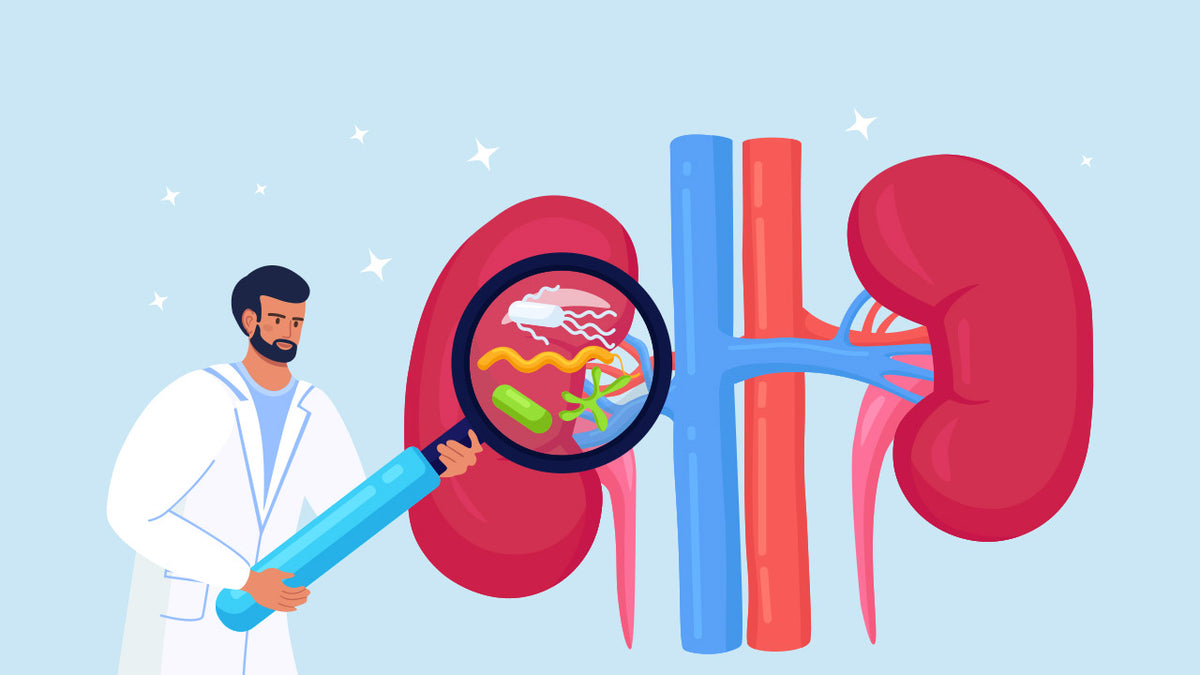 Understanding the Causes and Implications of Bacteria in Urinary Tract