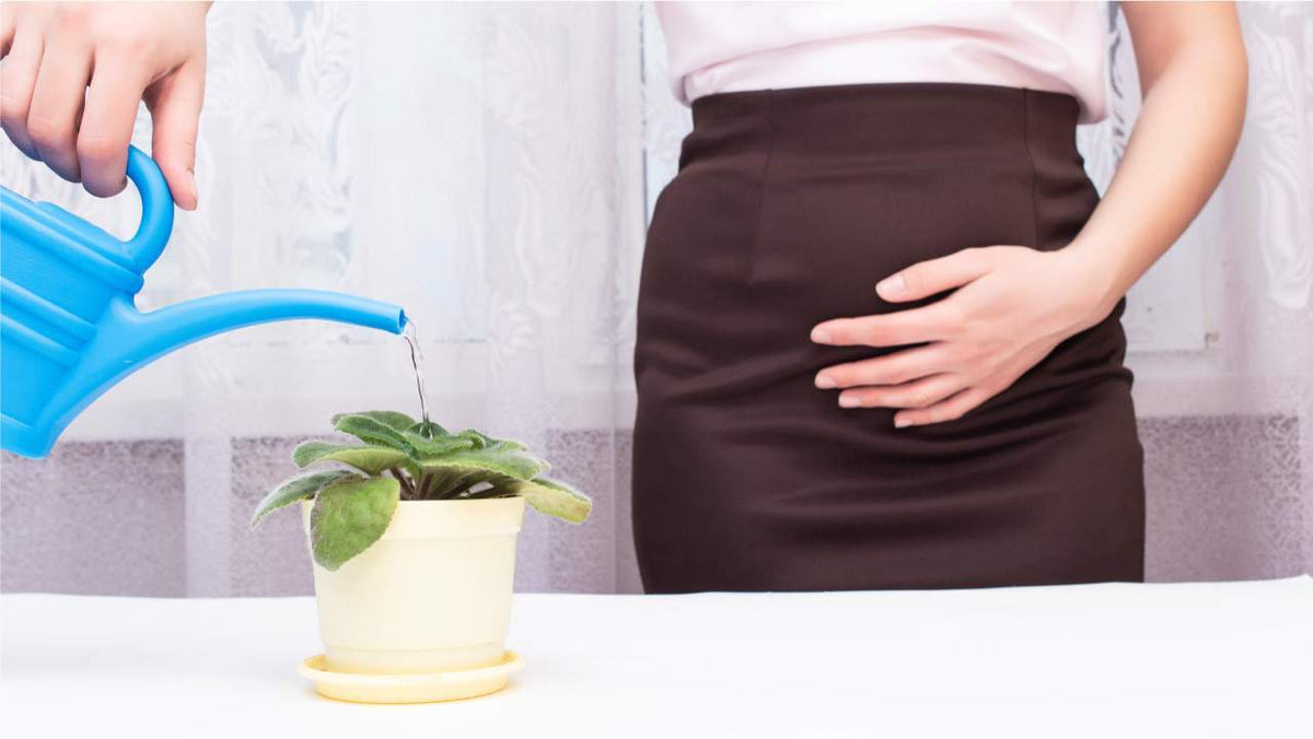 Female Urinary Retention in Women Causes, Symptoms & Treatment