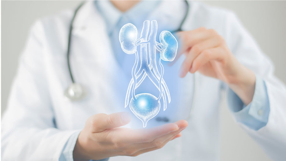Compare Neurogenic Bladder and Overactive Bladder