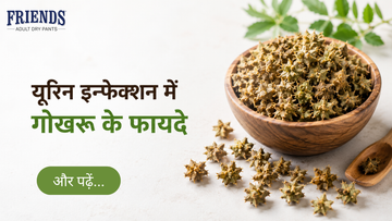 यूरिन इन्फेक्शन में गोखरू: फायदे, सेवन का तरीका और ज़रूरी बातें