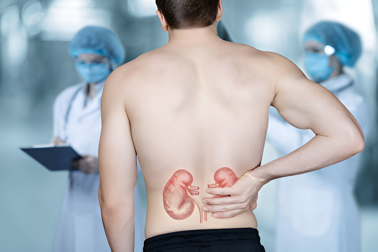 What Are the Signs and Symptoms of a Kidney Infection?