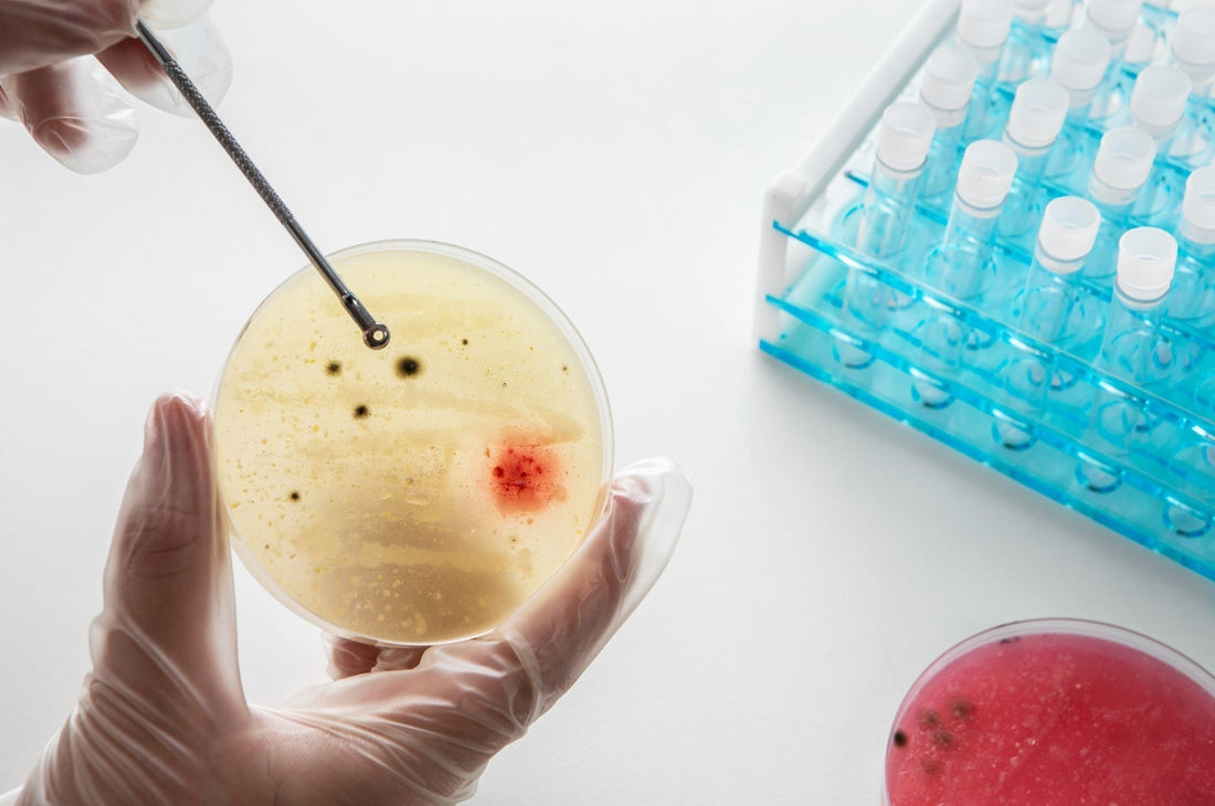 Is Mucus in Urine Normal? Here's What Your Body Might Be Telling You