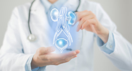 BLADDER CANCER: CAUSES, TYPES AND SYMPTOMS