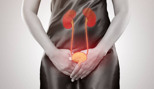 The Aftereffects of an Untreated UTI