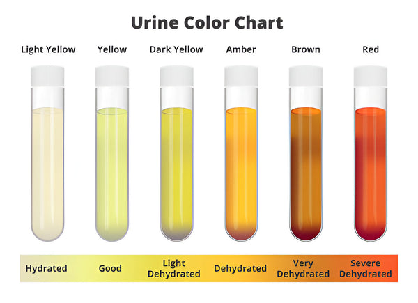 Incontinence Category