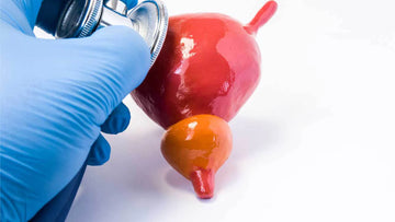 Managing Overactive Bladder in Summer | Useful Tips
